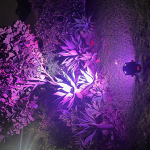 Uplight Multi Colour Hire