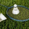 badminton, sport, shuttlecocks-1428046.jpg