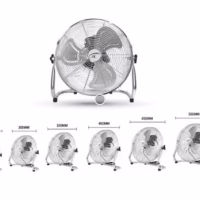 fan